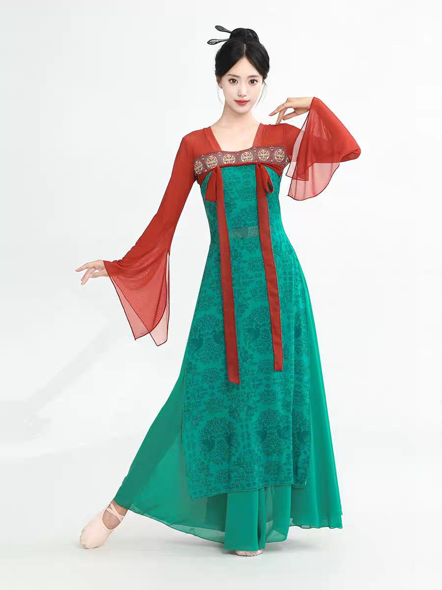 古典舞蹈服装飘逸女汉唐齐胸裙表演练功服飘带身韵演出服长款纱衣S-4XL