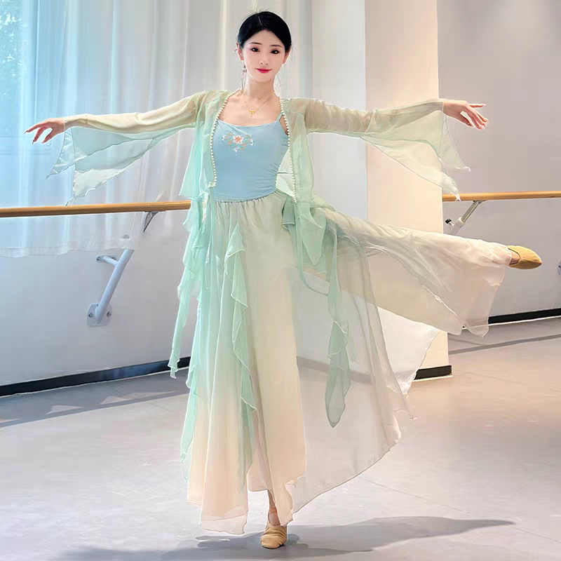 古典舞蹈服装飘逸女演出服仙气身韵纱衣练功服中国舞表演服装套装S-4XL
