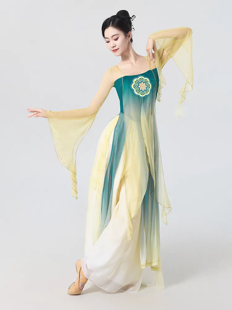 古典舞蹈服装飘逸女汉唐齐胸裙表演练功服飘带身韵演出服长款纱衣S-2XL