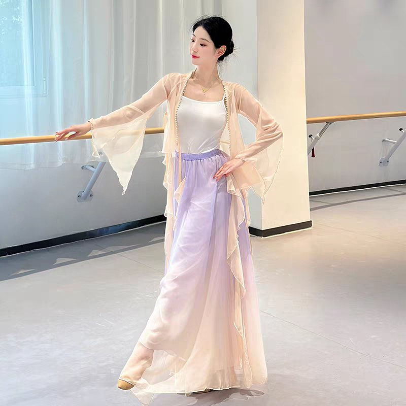 古典舞蹈服装飘逸女演出服仙气身韵纱衣练功服中国舞表演服装套装S-4XL