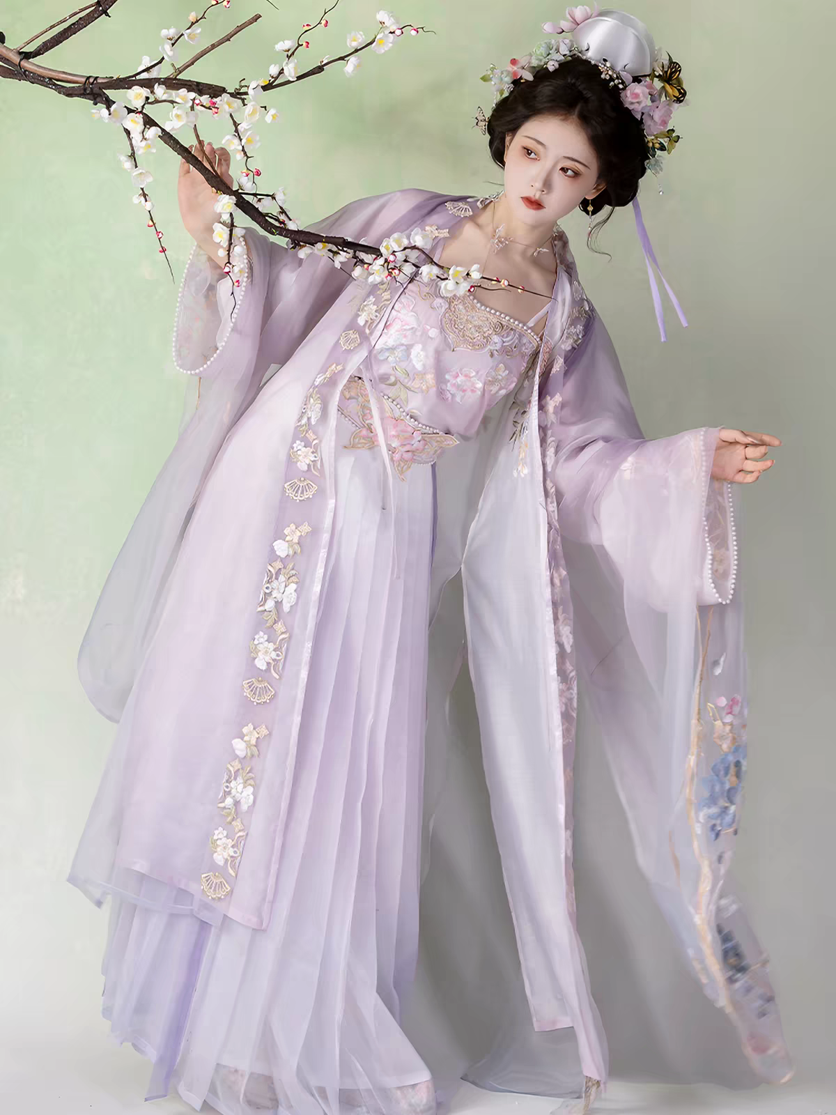 Song Dynasty-style Heavy Embroidery Large-Sleeve Hanfu Robe