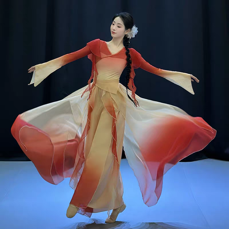 古典舞演出服舞蹈服套装古风双层飘逸大摆裙中国舞身韵纱衣表演服S-2XL