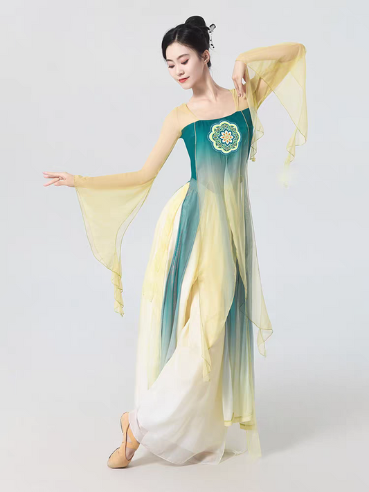 古典舞蹈服装飘逸女汉唐齐胸裙表演练功服飘带身韵演出服长款纱衣S-2XL