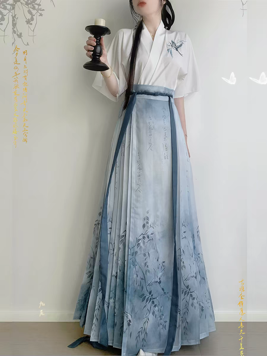 Jupe Ma-mian assortie Hanfu (tailles S–XL)