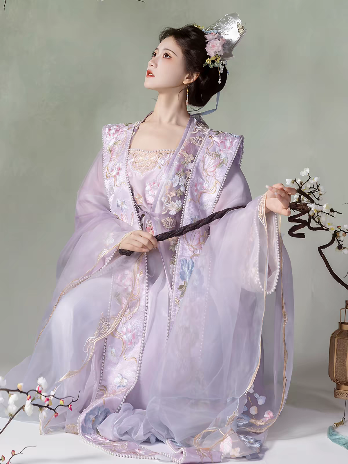 Song Dynasty-style Heavy Embroidery Large-Sleeve Hanfu Robe