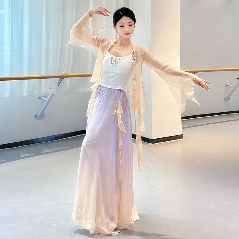 古典舞蹈服装飘逸女演出服仙气身韵纱衣练功服中国舞表演服装套装S-4XL
